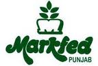 markfed_punjab