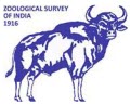 Zoological Survey of India